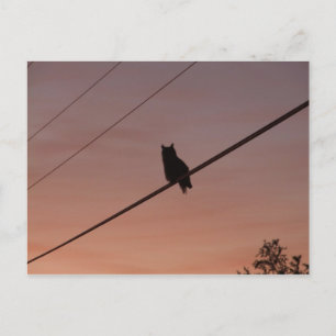 Silhouette Beauty Briefkaart