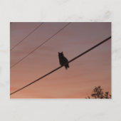 Silhouette Beauty Briefkaart (Voorkant)