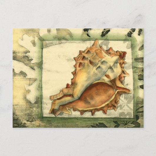 Silhouette Conch Shell Briefkaart (Voorkant)