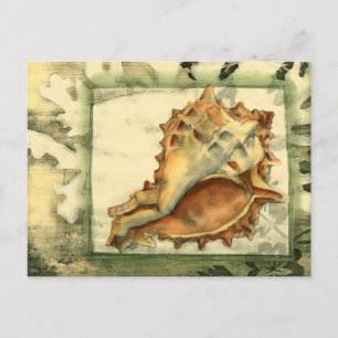 Silhouette Conch Shell Briefkaart