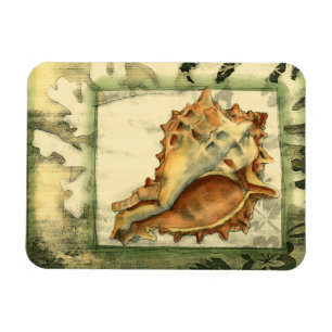 Silhouette Conch Shell Magneet