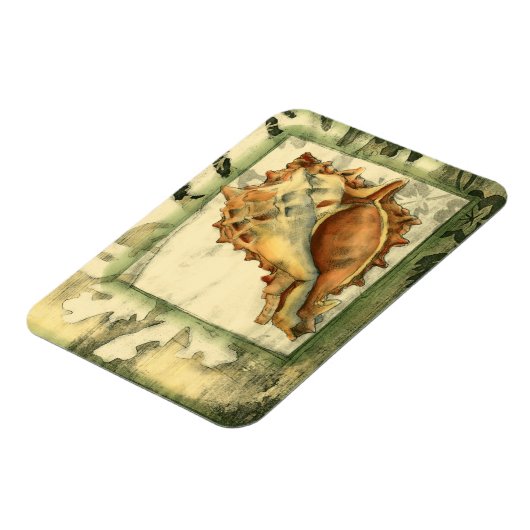 Silhouette Conch Shell Magneet (Linkerzijde)