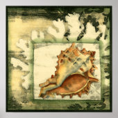 Silhouette Conch Shell Poster (Voorkant)