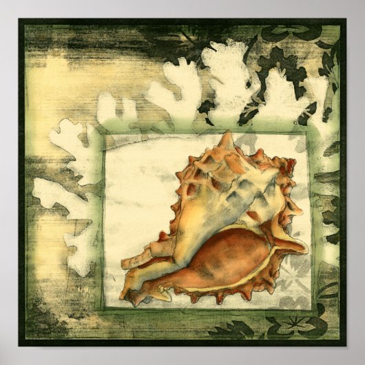 Silhouette Conch Shell Poster (Voorkant)