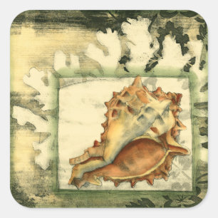 Silhouette Conch Shell Vierkante Sticker