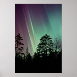 SILHOUETTE FOTO VAN AURORA BOREALIS POSTER