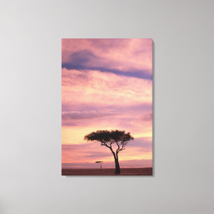Silhouette image of acacia tree at sunrise canvas afdruk