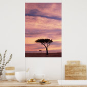 Silhouette image of acacia tree at sunrise poster (Keuken)