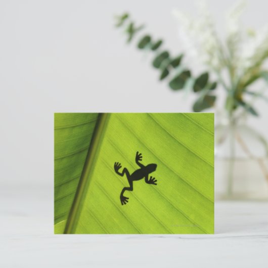 Silhouette kikker door bananenblad briefkaart (Staand voorkant)