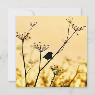 Silhouette of chickadee perched against gold light notitiekaartje