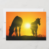 Silhouette of Two Horses at Sunset (Voorkant)