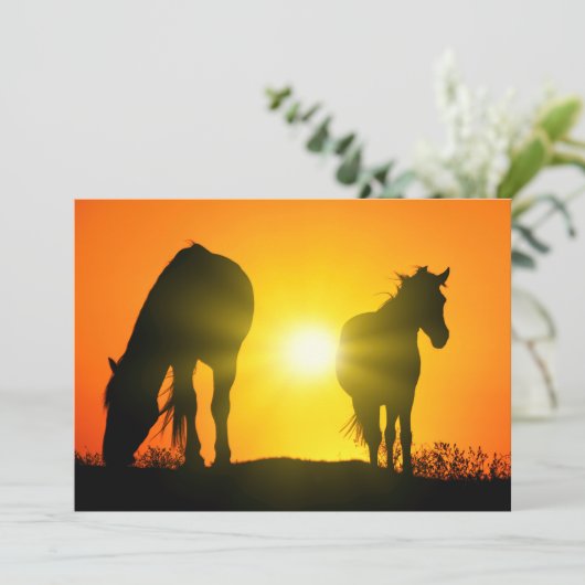 Silhouette of Two Horses at Sunset (Staand voorkant)