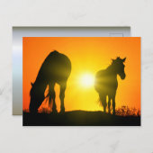 Silhouette of Two Horses at Sunset Briefkaart (Voorkant / Achterkant)