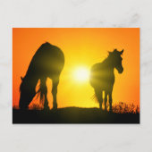 Silhouette of Two Horses at Sunset Briefkaart (Voorkant)