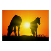 Silhouette of Two Horses at Sunset Perfect Poster (Voorkant)