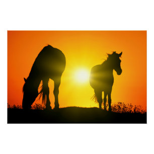 Silhouette of Two Horses at Sunset Perfect Poster