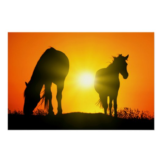 Silhouette of Two Horses at Sunset Perfect Poster (Voorkant)