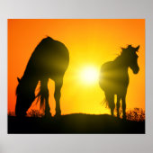 Silhouette of Two Horses at Sunset Poster (Voorkant)