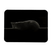 Silhouette slaapkat magneet (Horizontaal)