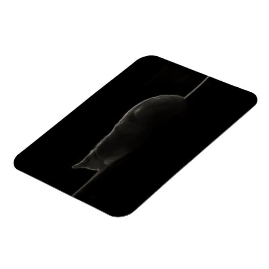 Silhouette slaapkat magneet (Linkerzijde)