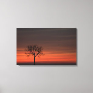 Silhouette Tree Stretted Canvas Print