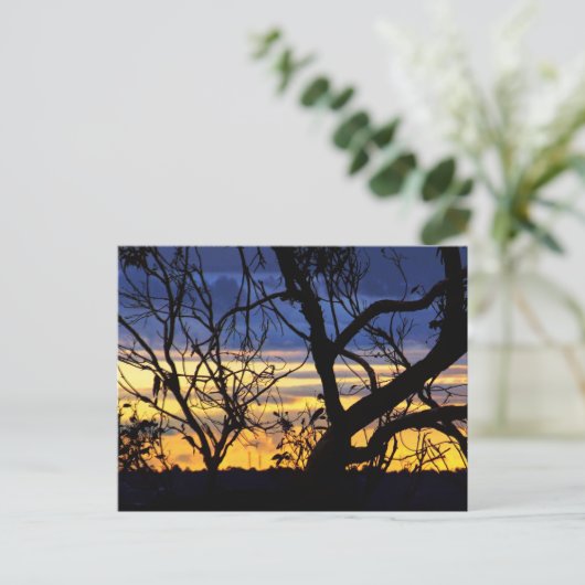 Silhouette Trees Skyscapes Briefkaart (Staand voorkant)