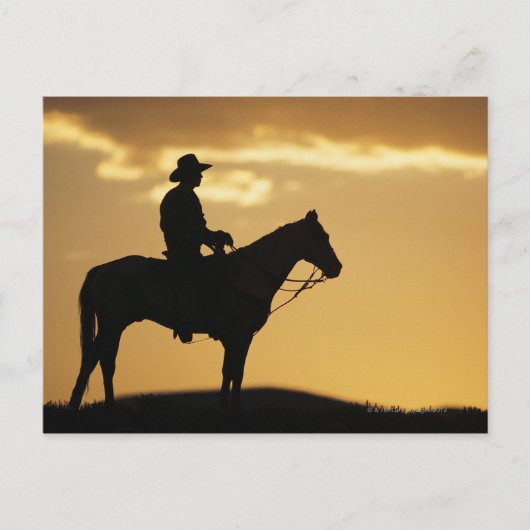 Silhouette van cowboy op horseback bij zonsonderga briefkaart (Voorkant)
