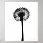Silhouette van dandelion poster (Voorkant)