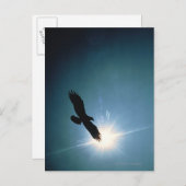 Silhouette van de adelaar die in de lucht vliegt briefkaart (Voorkant / Achterkant)