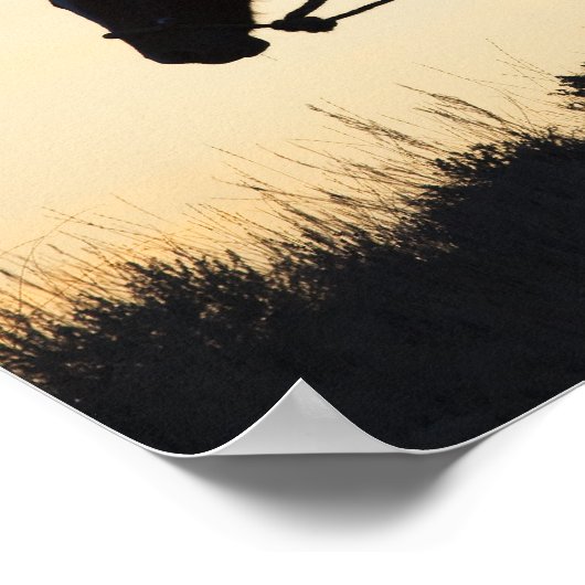 Silhouette van een Cowgirl op haar paard tegen het Poster (Hoek)