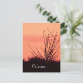 Silhouette van een ocotillo Arizona Briefkaart (Staand voorkant)