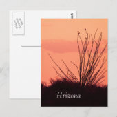 Silhouette van een ocotillo Arizona Briefkaart (Voorkant / Achterkant)