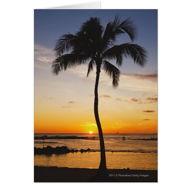 Silhouette van een palmboom met een Rode Oranje zo (Voorkant)