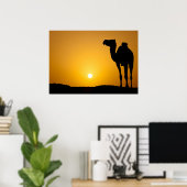 Silhouette van een wilde kameel bij zonsondergang poster (Thuiskantoor)