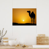 Silhouette van een wilde kameel bij zonsondergang poster (Keuken)