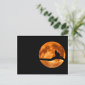 Silhouette van een zwarte kat in een boom briefkaart (Staand voorkant)