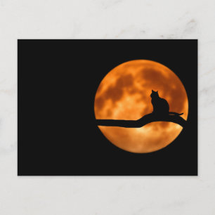 Silhouette van een zwarte kat in een boom briefkaart