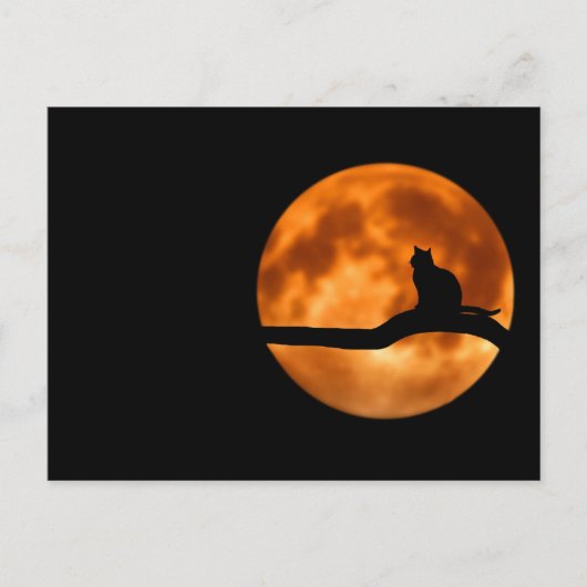 Silhouette van een zwarte kat in een boom briefkaart (Voorkant)