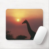 Silhouette van Giraffe (Giraffa Camelopardalis) Muismat (Met muis)