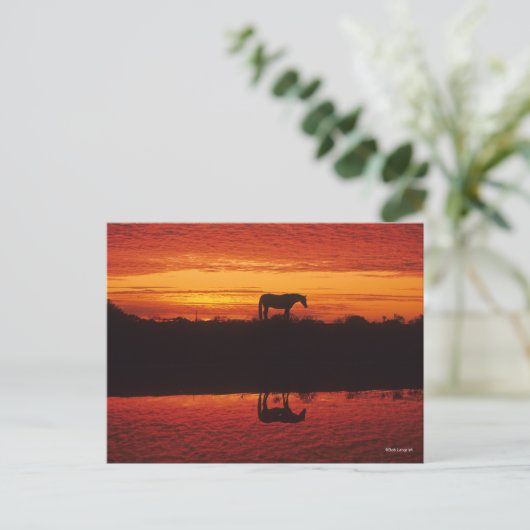 Silhouette van Horse tegen Sunset Sky Briefkaart (Staand voorkant)