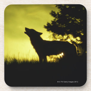 Silhouette van wolvenhowling bier onderzetter