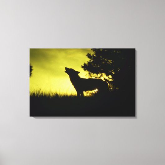 Silhouette van wolvenhowling canvas afdruk (Voorkant)