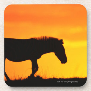 Silhouette van zebra op savanna bier onderzetter