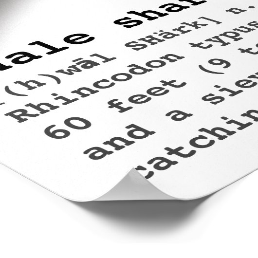 Silhouette Whale Shark met definitiestrand Poster (Hoek)