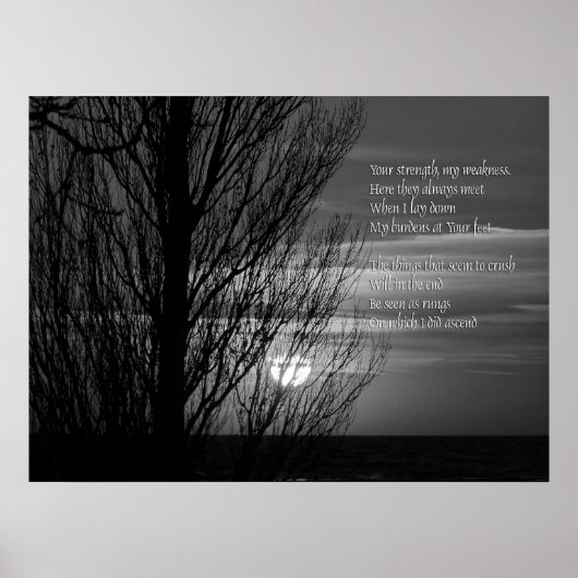 Silhouette Winter Tree-inspiratie Poster (Voorkant)