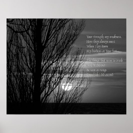 Silhouette Winter Tree-inspiratie Poster (Voorkant)