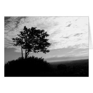 Silhouette (zwart en wit)