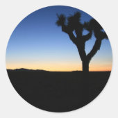Silhouetted Joshua Tree Ronde Sticker (Voorkant)