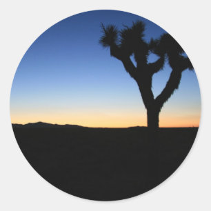 Silhouetted Joshua Tree Ronde Sticker