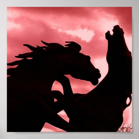 Silhouetted Stallion Design Poster Print (Voorkant)